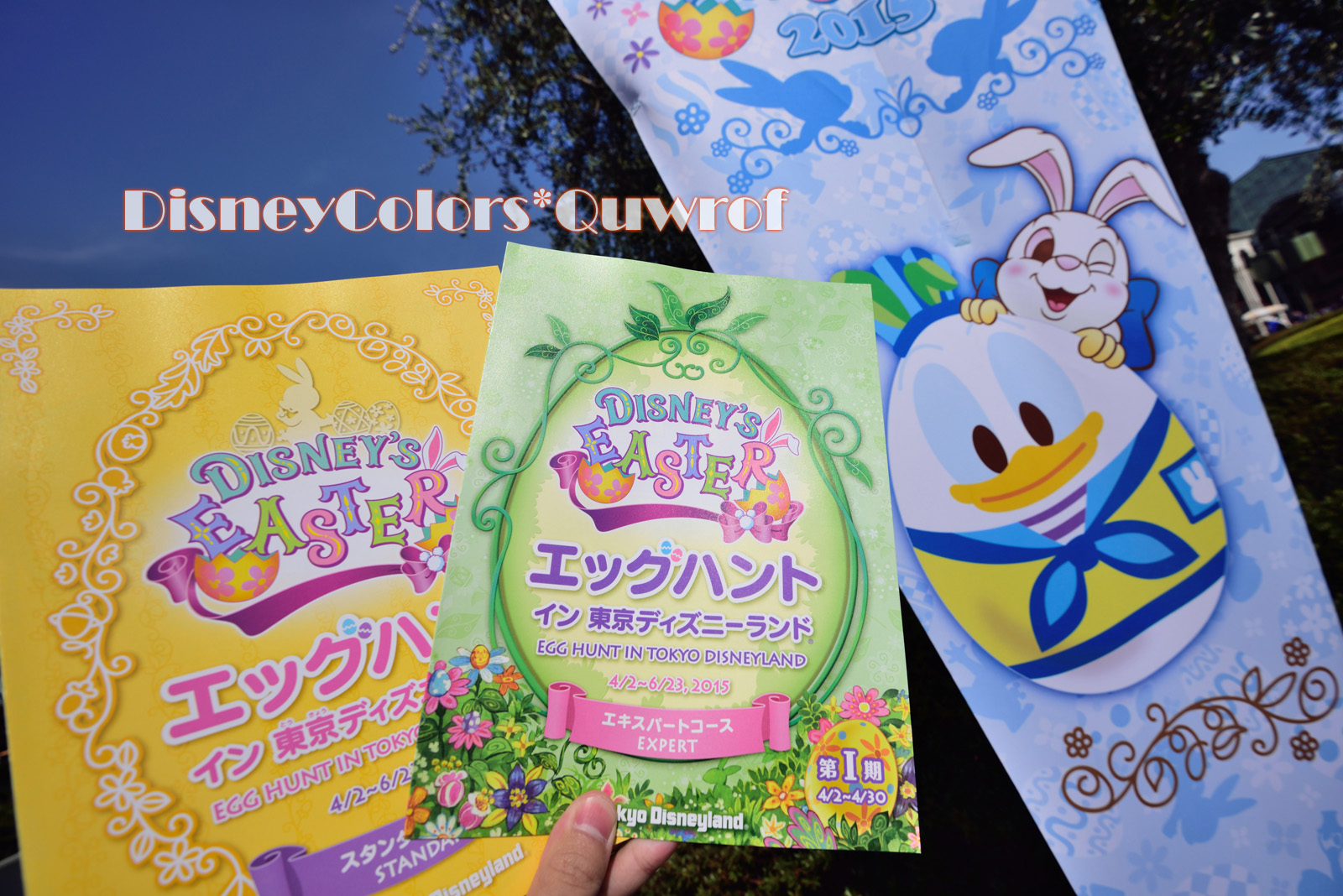 エッグハントに挑むにんじんジャージ軍団 2015年4月12日 東京ディズニーランドのインレポ Disney Colors Blog