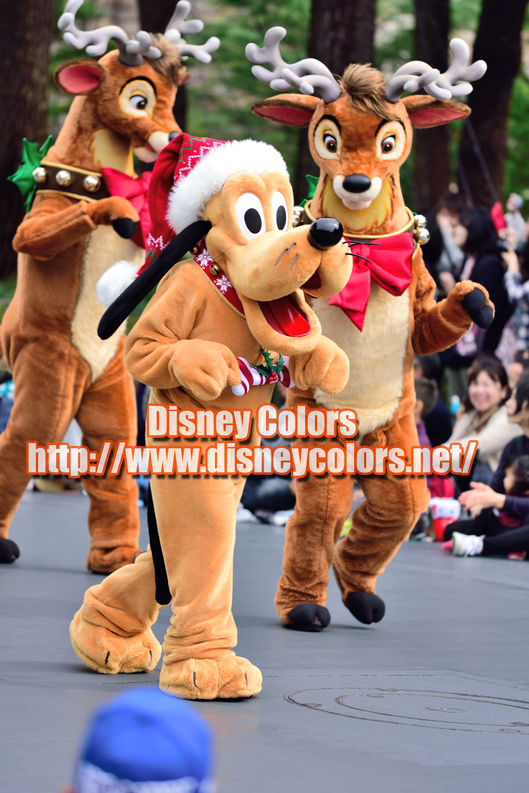 Tdl ディズニー クリスマス ストーリーズ16 フロート停止位置 鑑賞ガイド Disney Colors Event Guide